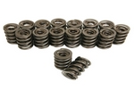 Valve springs, 1.460" dual, all, set of 16